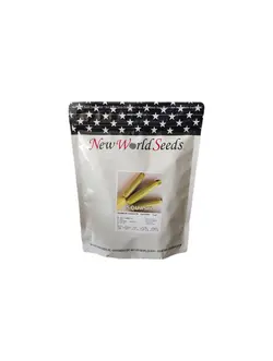 بذر کدو پارس