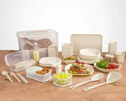 ظروف مسافرتی لیمون 8 نفره 85 پارچه