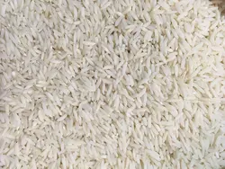 برنج هاشمی گیلان ممتاز 1 تن برنج آنلاین