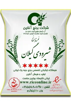 برنج شیرودی گیلان 20 کیلوگرم برنج آنلاین