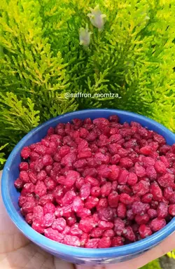 زرشک پفکی - فروشگاه اینترنتی زعفران ممتاز