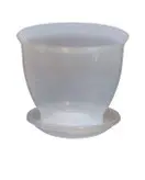 گلدان ارکیده شفاف (سایز20) طرح دار بسته 20 عددی