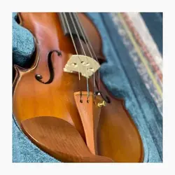 خرید ویولن لوکتو مدل 500 Locto آکبند - سازی ها