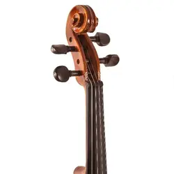 ویولن واش برن Washburn آکبند