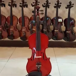 خرید ویولن پائولو مگینی Maggini آکبند - سازی ها