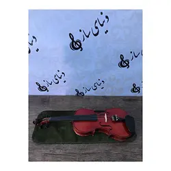خرید ویولن پائولو مگینی Maggini آکبند - سازی ها