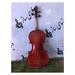 خرید ویولن پائولو مگینی Maggini آکبند - سازی ها