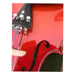 خرید ویولن پائولو مگینی Maggini آکبند - سازی ها