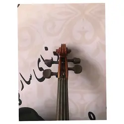 خرید ویولن آکوستیک کارل هافنر مدل AS 045 V آکبند - سازی ها