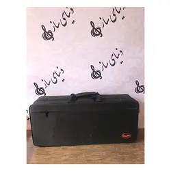 خرید ساکسیفون آلتو بست فان Best fun آکبند - سازی ها