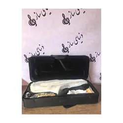 خرید ساکسیفون آلتو بست فان Best fun آکبند - سازی ها