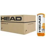 توپ تنیس هد نارنجی HEAD T.I.P. Orange قوطی 3 تایی