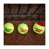 توپ تنیس هد نارنجی HEAD T.I.P. Orange قوطی 3 تایی