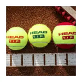 توپ تنیس هد نارنجی HEAD T.I.P. Orange قوطی 3 تایی