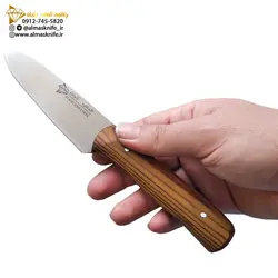 چاقوی (کارد) دم دستی