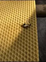 برگه موم آجدار عسل