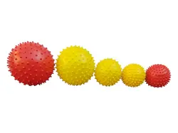 سن سی بال ( توپ ماساژ بادی / خاردار)