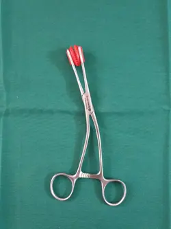 پنس زبانگیر