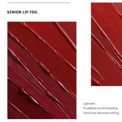رژ لب مایع مات فوق ماندگار کپسولی پودایر شماره 901 - Pudaier matte liquid pills lipstick