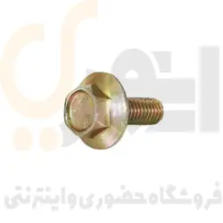 پیچ گلگیر پراید