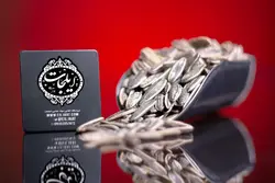 تخمه آفتابگردان سنجابکی مغز پخت (450گرم)