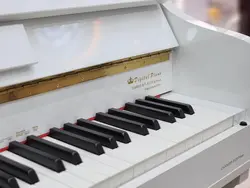 پیانو کاسیو S120 Plus