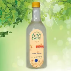 بهار نارنج شمال