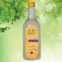 بهار نارنج شیراز