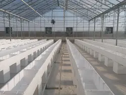 کارگاه آموزشی پرورش گل ارکیده معجزه طبیعت