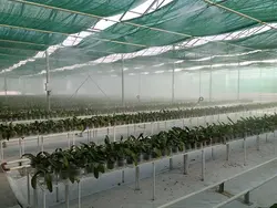 کارگاه آموزشی پرورش گل ارکیده معجزه طبیعت