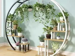 پرورش و نگهداری گیاهان آپارتمانی