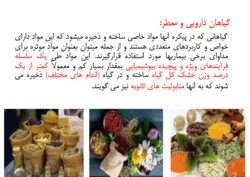 پرورش و کاشت گیاهان دارویی