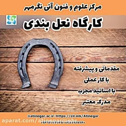 نعل بندی طبی اسب مقدماتی