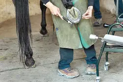 نعل بندی طبی اسب مقدماتی