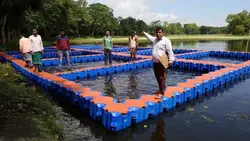 پرورش ماهی درقفس (cage fish)