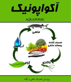 کشت آکواپونیک (پرورش ماهی و گیاه)