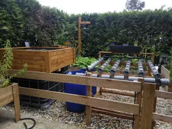 کشت آکواپونیک (پرورش ماهی و گیاه)