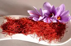 دوره پرورش زعفران گلخانه ای