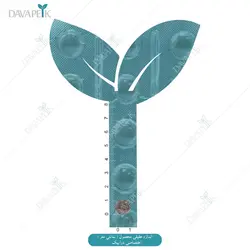 دابل بول نیچر انلی (Double bull)