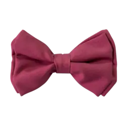 قلاده و پاپیون سگ مدل طرح دار نیناپت سایز کوچک