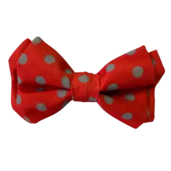 قلاده و پاپیون سگ مدل طرح دار نیناپت سایز کوچک