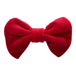 قلاده و پاپیون سگ مدل طرح دار نیناپت سایز کوچک