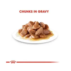 پوچ گربه رویال کنین مدل هربال کر وزن 85 گرم