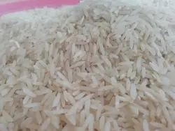 برنج طارم هاشمی