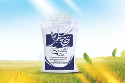 سرلاشه امرالهی کشت دوم