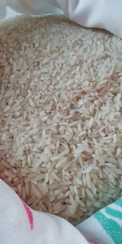 سرلاشه امرالهی کشت دوم