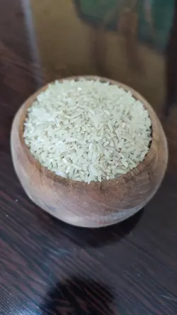 سرلاشه امرالهی کشت دوم