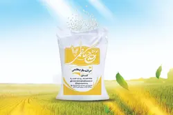 سرلاشه طارم هاشمی کشت اول