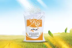 برنج فجر مجلسی