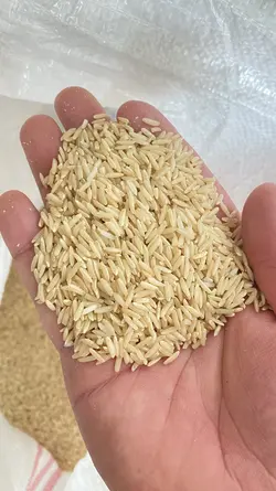 برنج قهوه ای رژیمی